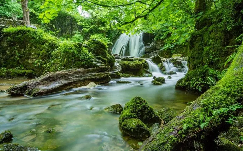 高端先进